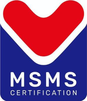 logo msmsm